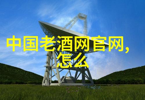 欧洲十大宫殿-绚烂的历史与艺术探秘欧洲最具代表性宫殿