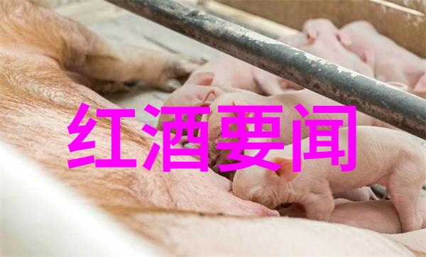停刊带来的空白让我想起了曾经阅读中的快乐与挑战这个时候我该怎样填补这片虚空呢