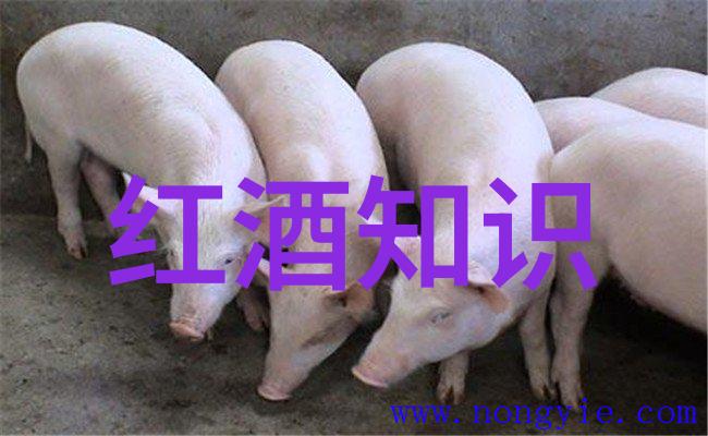 法国产量最大的葡萄酒产区普罗旺斯之美