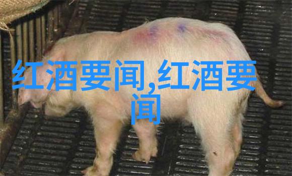 雷霆万钧世界上最想要的得分之王