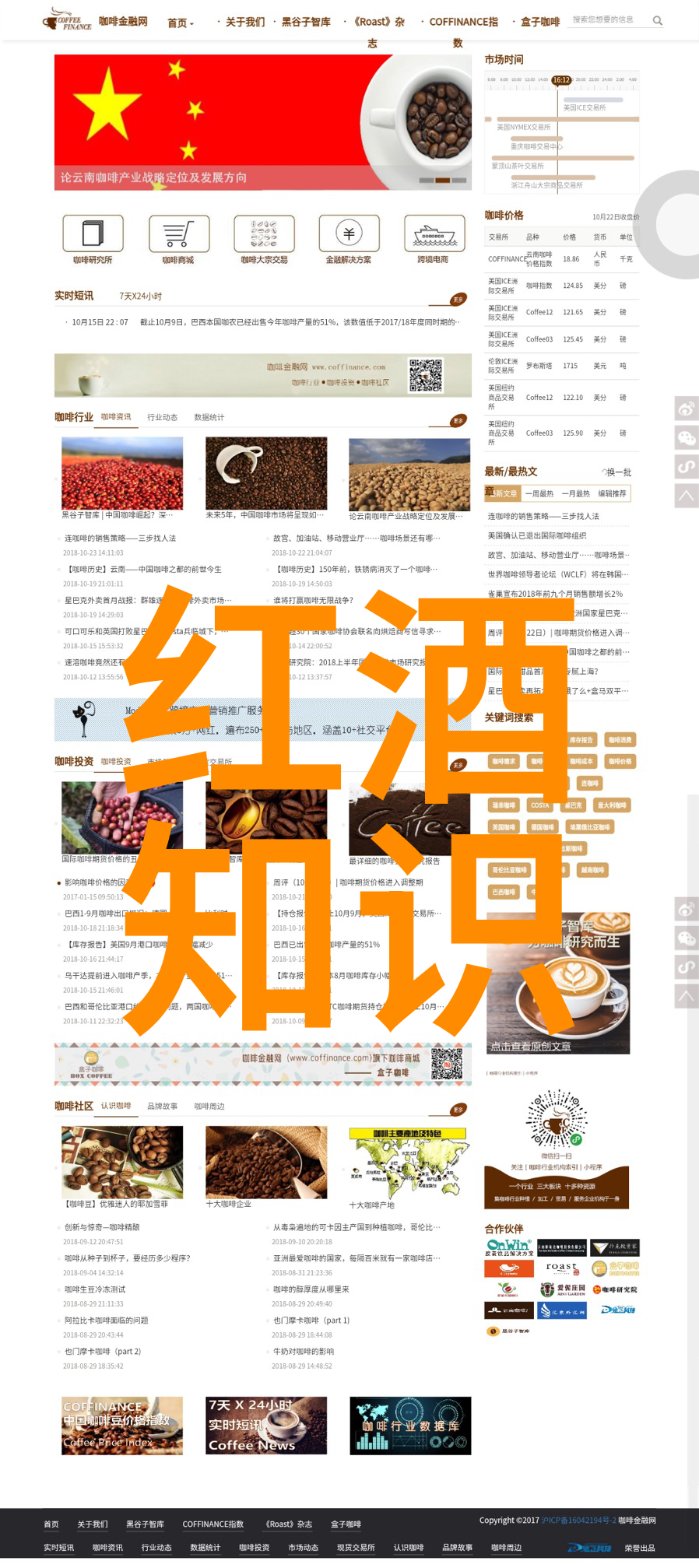 欧洲短毛