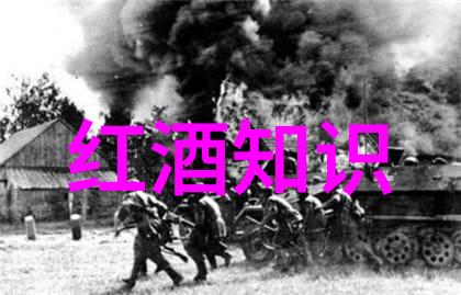 欢乐时光与温馨记忆培养孩子们对动物爱护意识的小精灵