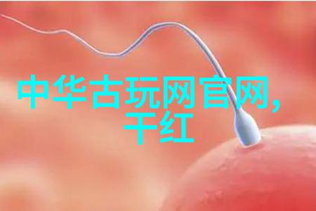 红色收藏交易平台从稀有宝贝到宝可梦变身不再难