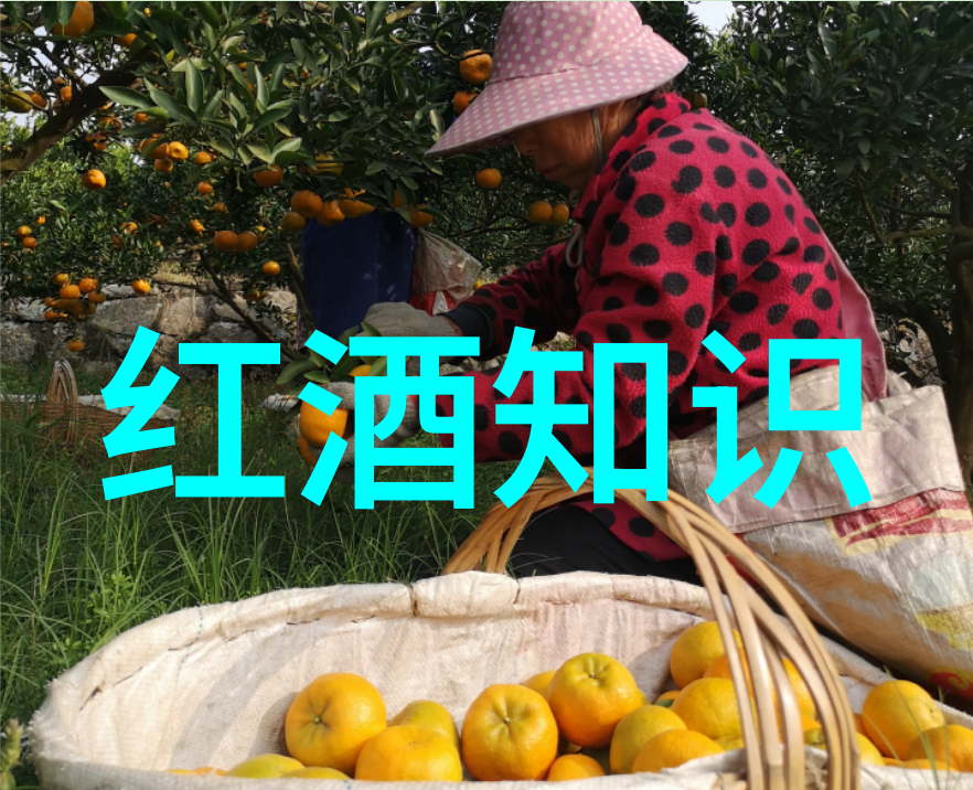 黄河流域粮食主产区如何应对水资源短缺的问题