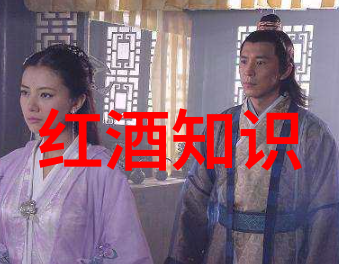 主题-稳健收益的选择如何挑选高效且稳定的基金