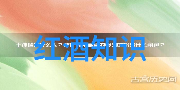我来告诉你红酒的故事从古老的葡萄园到今夜的咖啡桌