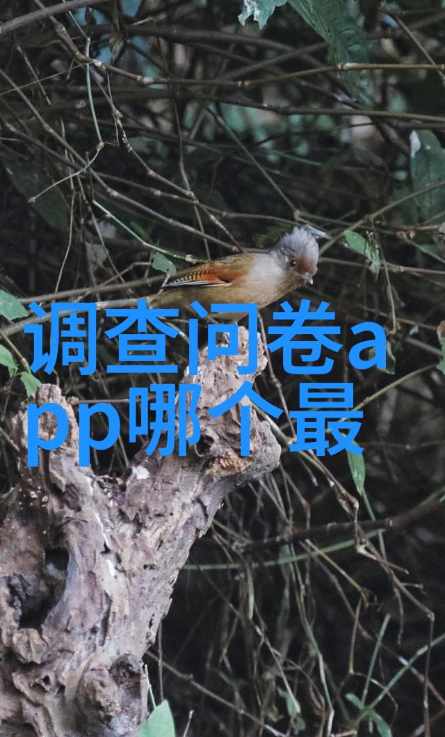 明朝秘史光耀与阴谋的交织