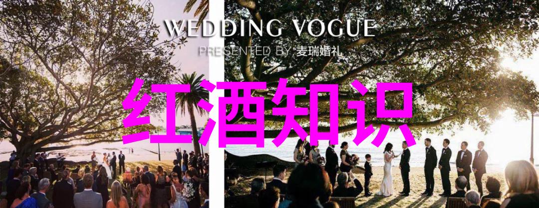 古董书页的守护者藏书家的秘密世界