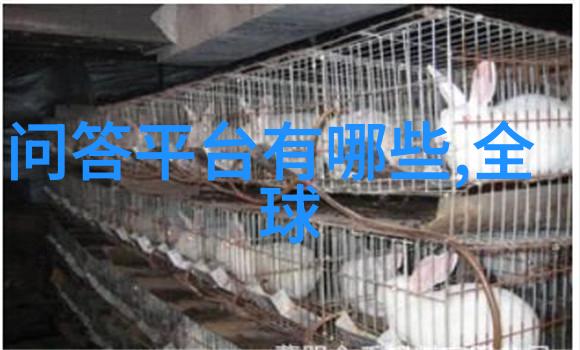 玫瑰花的秘密从古典至现代品种之美