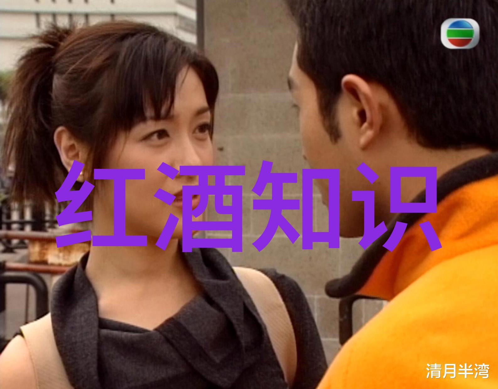 苏格兰折耳