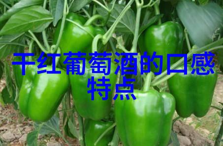 小星闪烁的智慧之光小学趣味问答探秘