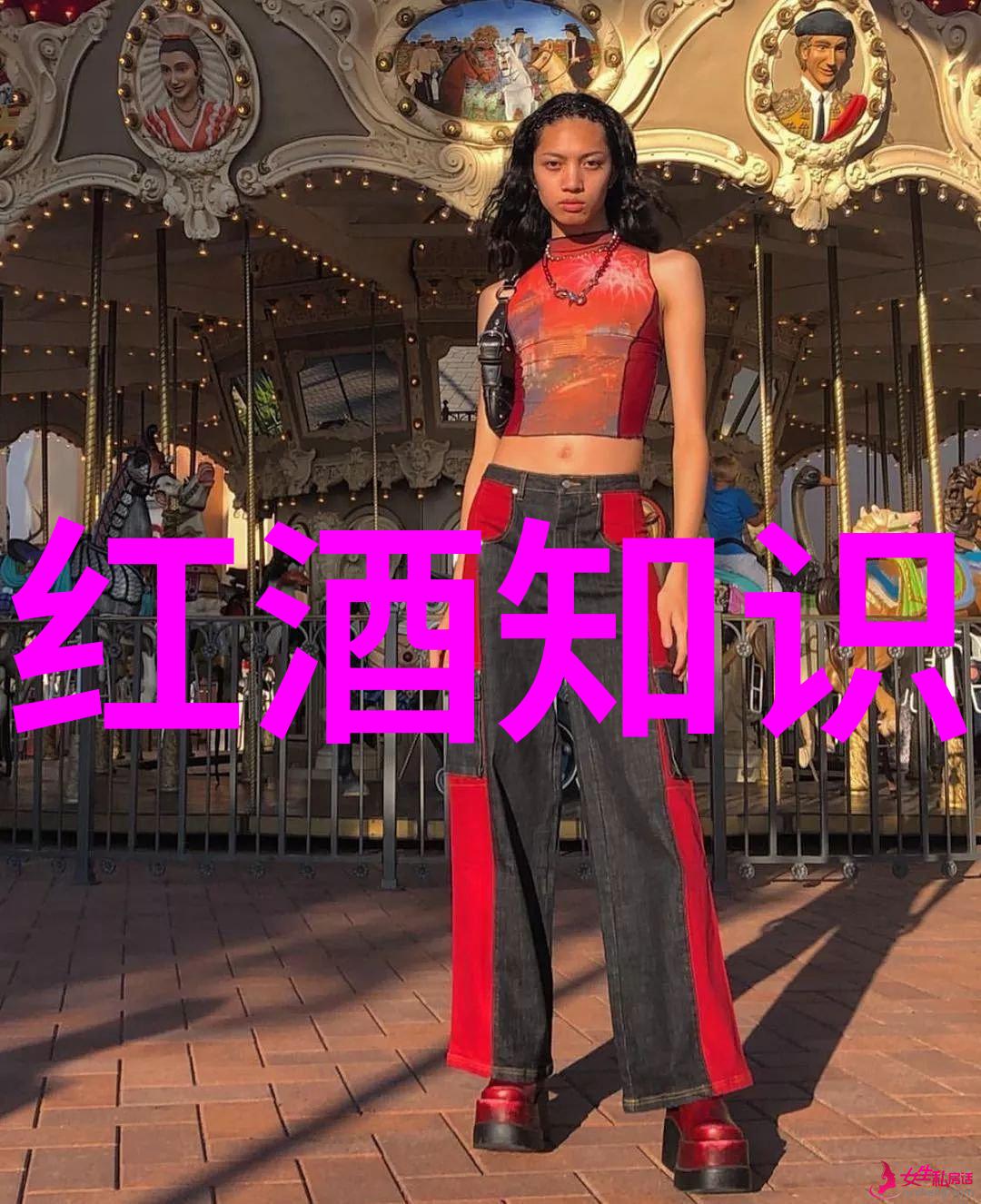 猫娘百态展现详解各类猫品种大全图片及价格详情