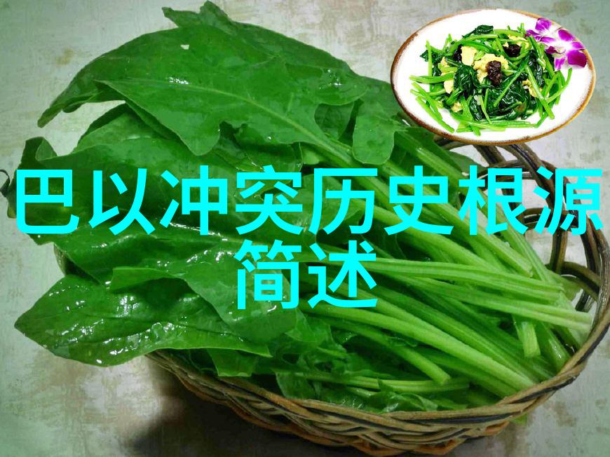 探索沪地两日游趣味指南