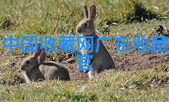 上海周边景点排名哪些地方值得一游