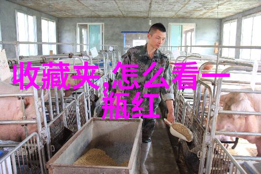 中世纪庄园制度的影响与后世社会结构的演变