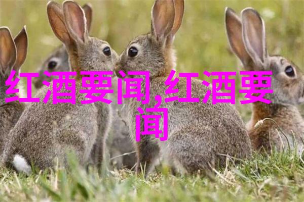 猫的品种大全前十名-揭秘宠物圈最受欢迎的10种猫品种