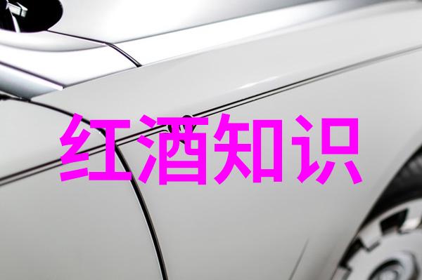 科举日常-策论与策考科举制度中的智慧博弈
