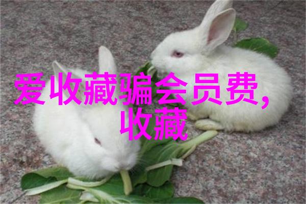 上海周边游推荐两日游我来带你玩转周末小秘密基地