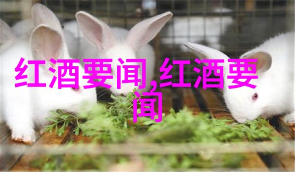 百度答主计划开放招募加入我们共筑知识共享之城