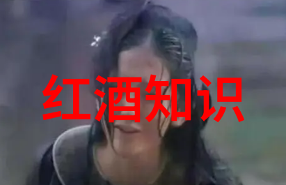 历史价格-回顾往昔市场波动下的历史价格走势分析