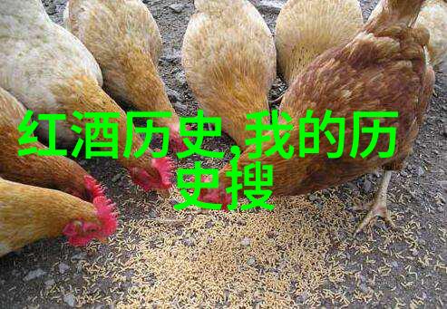 数风流人物还看今朝我的前行之歌