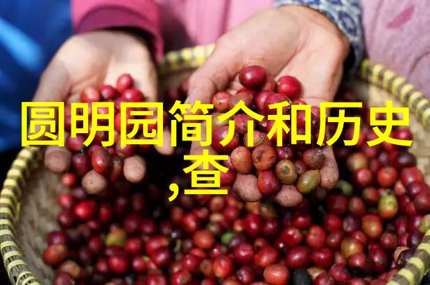 从线条到表情解读可爱卡通人物特点