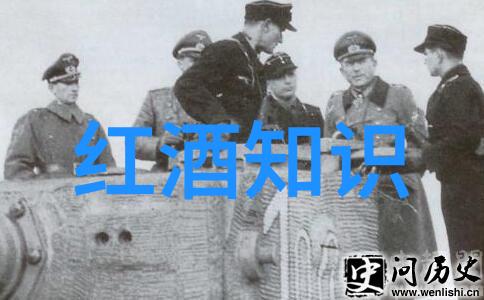 追求alpha的方法提升个人魅力和领导力技巧