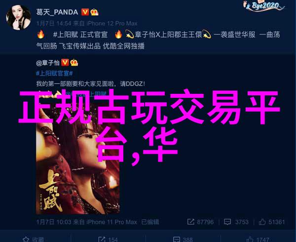 沉落的夢想泰坦尼克号真实历史与悲剧