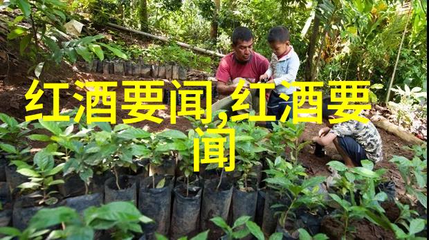 探索智能问答系统登录门户的秘密之谜