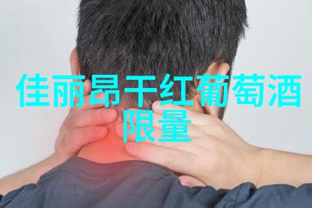4级庄园设计图详细教程从规划到完工的每一步