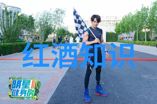 葡萄之歌揭秘红酒的香气世界