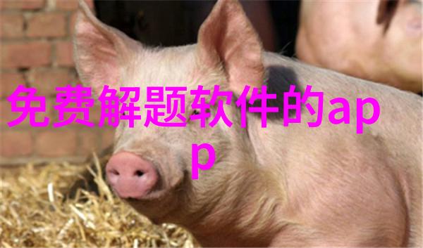 手机里的收藏如何找回丢失的宝贝
