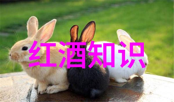 在有机葡萄酒的故事里Millesime Bio成为了一个引领者它不仅是一份收藏界杂志社更是那些追求纯