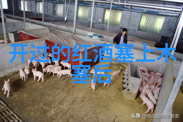 绿茶时光一天中喝绿茶的最佳时刻是什么