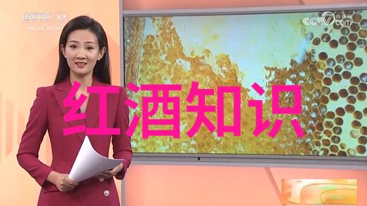 探索收藏世界的宝库精选杂志引领您的珍品之旅
