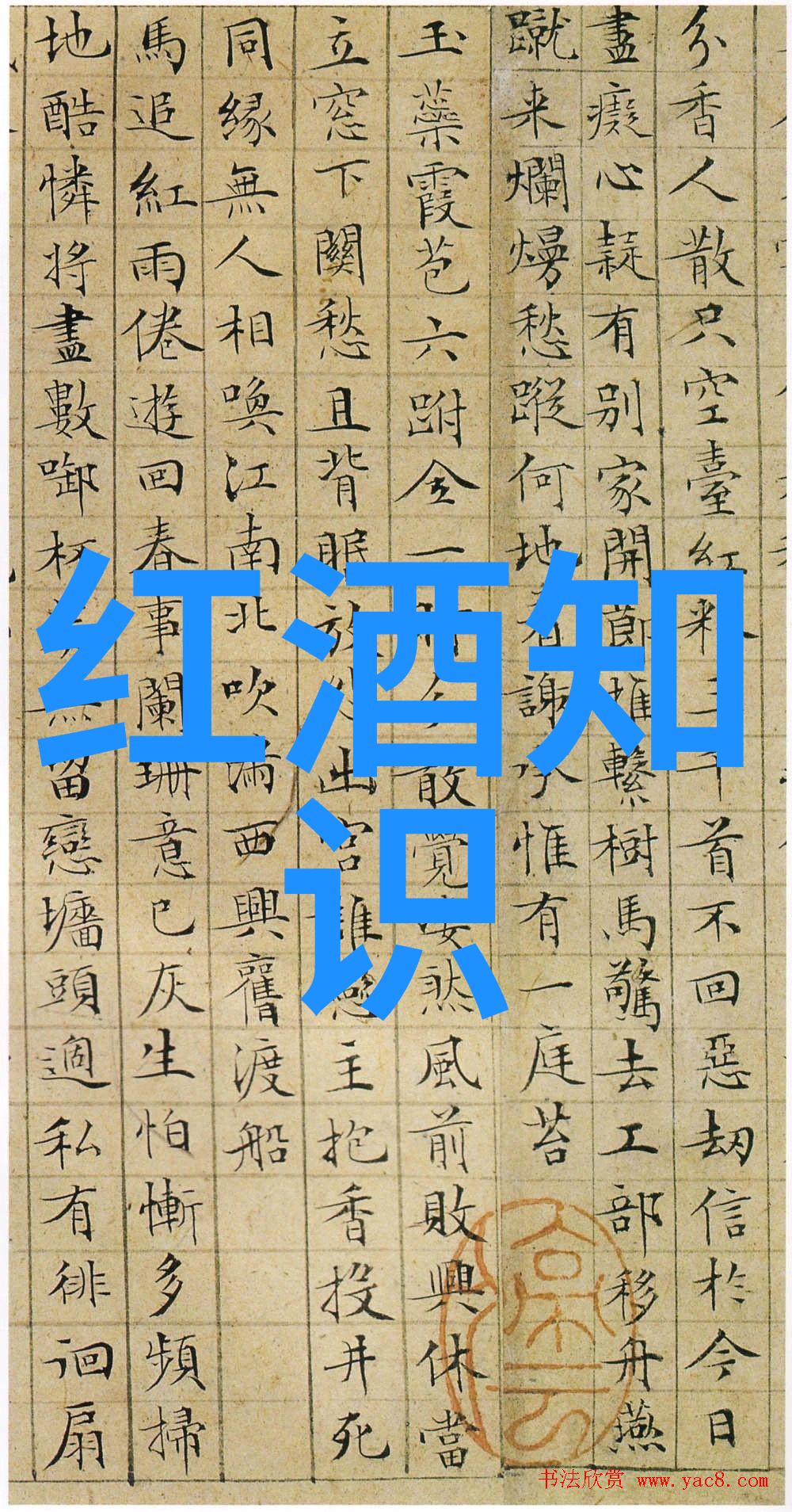 猫咪品种大师揭秘我们的宠物朋友们