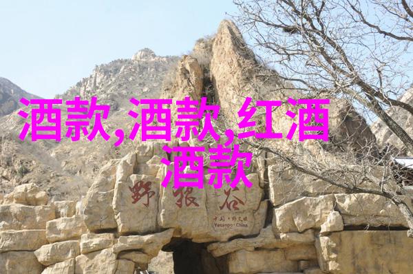 世界上有几千种玫瑰花探秘这朵浪漫的王冠