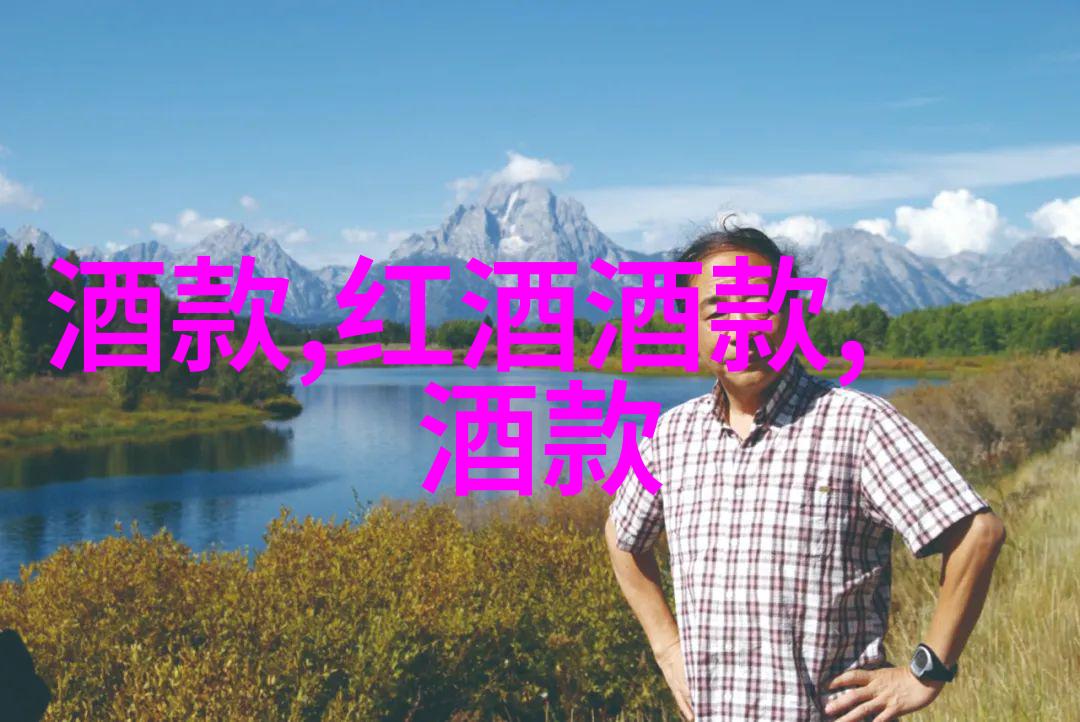 历史播放过的视频解读过去与现在的视觉交汇