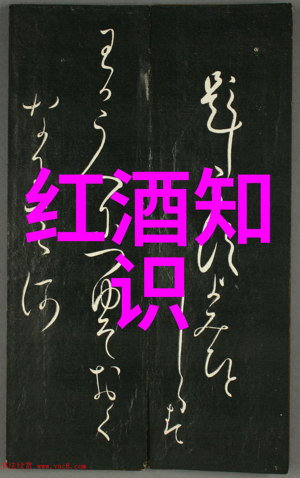 安克尼酒庄梦幻庄园赚钱版