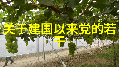 上海周边游推荐两日游探索金山青浦与松江的秘密
