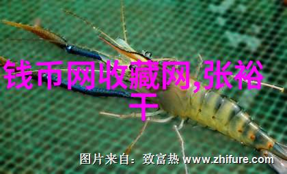玩火燃烧的欲望与自我毁灭