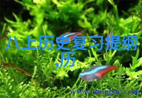 红酒的古老传承探索红酒历史的精髓