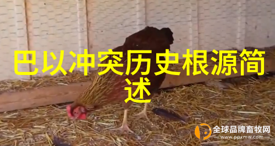 什么因素决定了收藏品的投资回报率