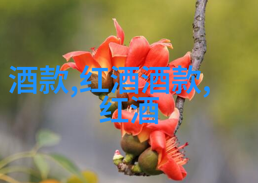 周边游玩指南探索当地美景与热门目的地