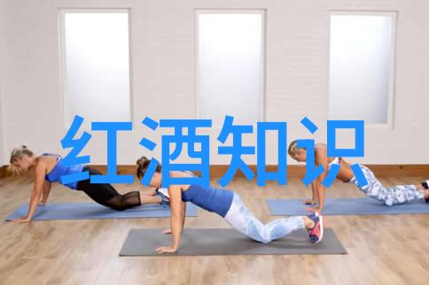 勃艮第与波尔多之辨两大葡萄酒产区的杯中差异