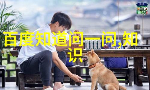 开启我的收藏宝库探索个人喜好与珍视物品的世界