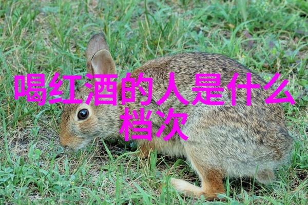 在绘制人物时为了追求好看我们可以采取哪些策略来保持其简约性