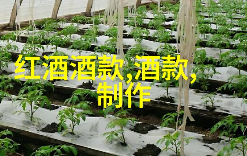 传统工艺品在现代社会仍然具备什么样的意义和价值呢
