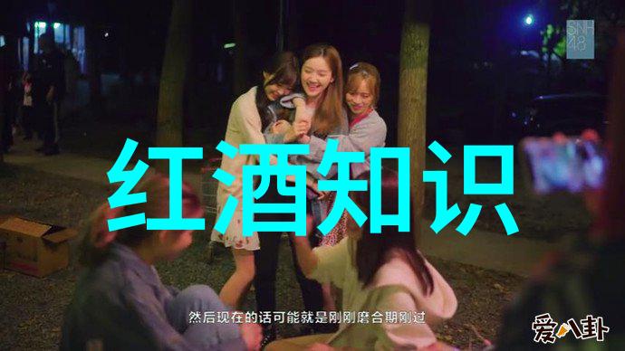 东北的金色海洋黑龙江粮食主产区的分布与魅力