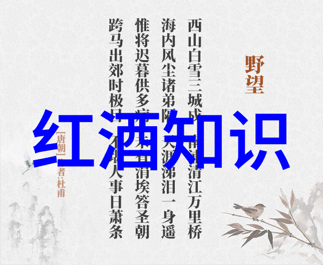 偏偏偏爱你情感纠葛与永恒回忆